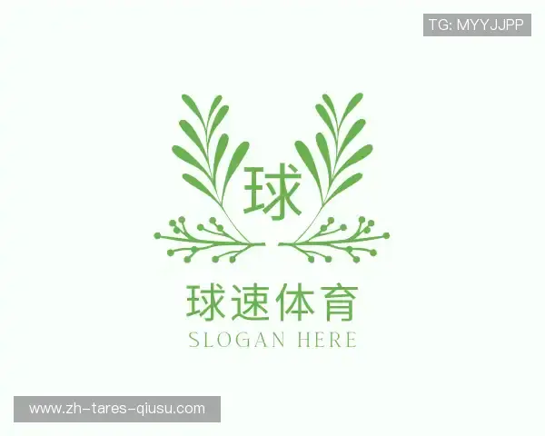 了解球速体育